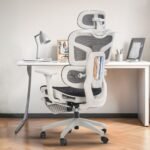 Drogo Opulent Ergonomic Office Chair for Work from Home