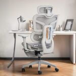 Drogo Opulent Ergonomic Office Chair for Work from Home - Image 10