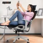 Drogo Opulent Ergonomic Office Chair for Work from Home - Image 2