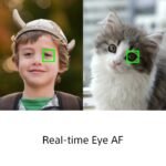 Sony Cyber-shot DSC-RX100 VII Digital Camera - Image 15