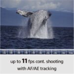 Sony Alpha a6100 Mirrorless Digital Camera (Body Only) - Image 23