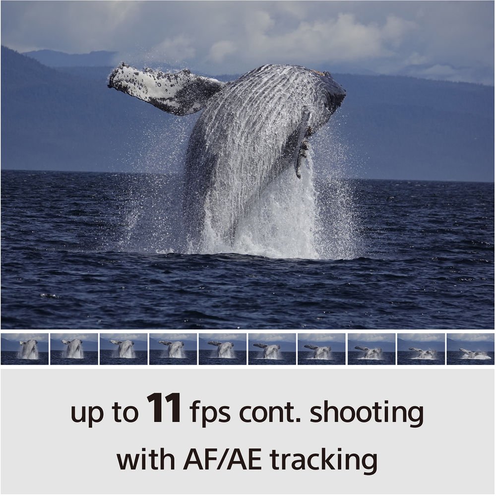 1573208524_IMG_1243044