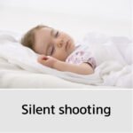 Sony Alpha a6100 Mirrorless Digital Camera (Body Only) - Image 24