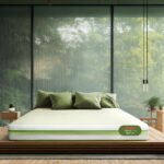 Tatva Natural Latex and Coir Mattress