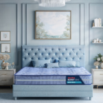 Back Magic Orthopedic Coir Mattress - Blue