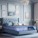 Back Magic Orthopedic Coir Mattress - Blue - Image 8