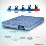 Back Magic Orthopedic Coir Mattress - Blue - Image 3