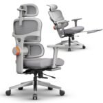 Drogo SitSmart Ergonomic Office Chair for Work from Home