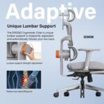 Drogo SitSmart Ergonomic Office Chair for Work from Home - Image 4