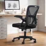 Drogo DynamicWing Ergonomic Office Chair for Work from Home