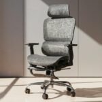 Drogo ProFlex Ergonomic Office Chair for Work from Home