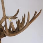 Savanna Antique Italian Design Chandelier - Image 12